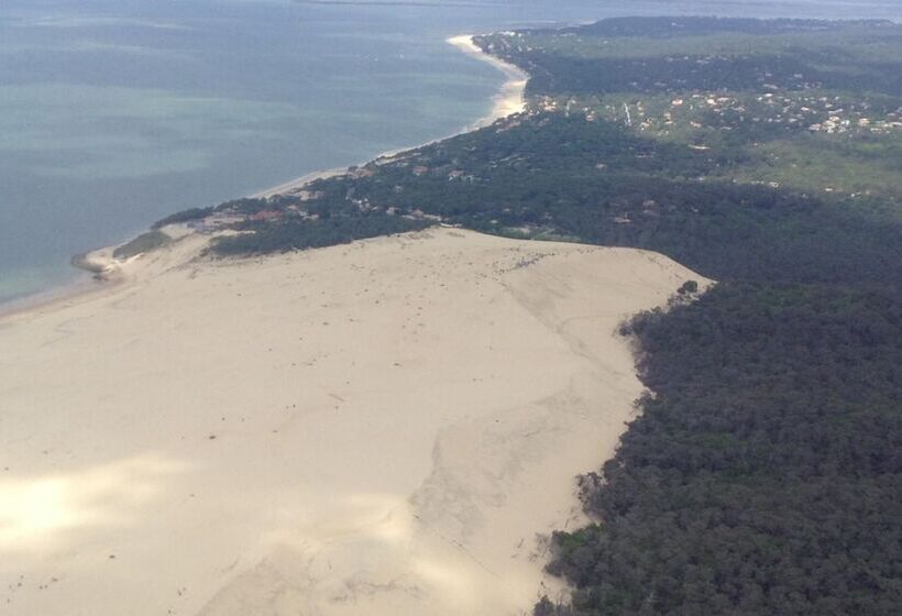 Logis Hotels   Hôtel Et Restaurant L Océana