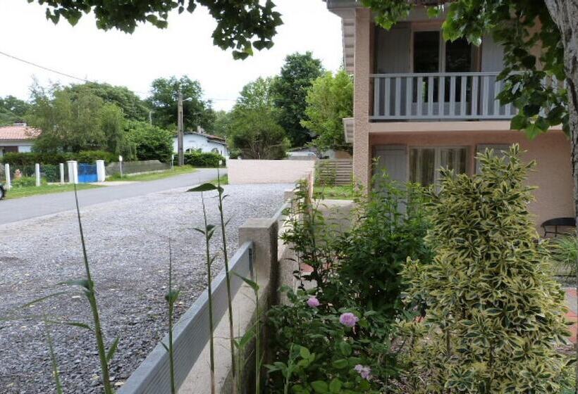 Logis Hotels   Hôtel Et Restaurant L Océana