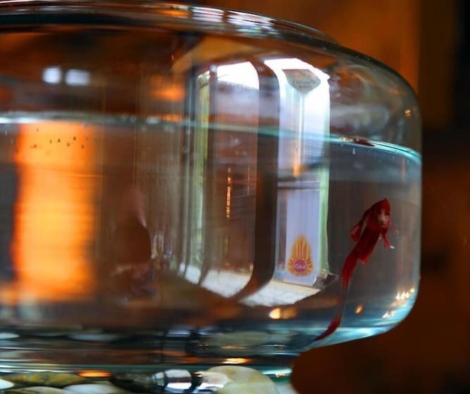 Logis Hotel Restaurant Auberge Du Peras