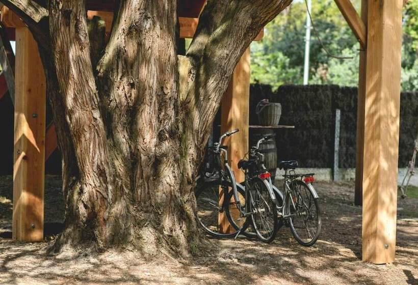 فندق Logis Hôtel Emeraude Des Bois