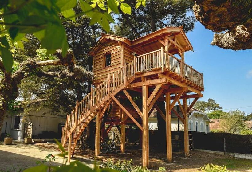 فندق Logis Hôtel Emeraude Des Bois