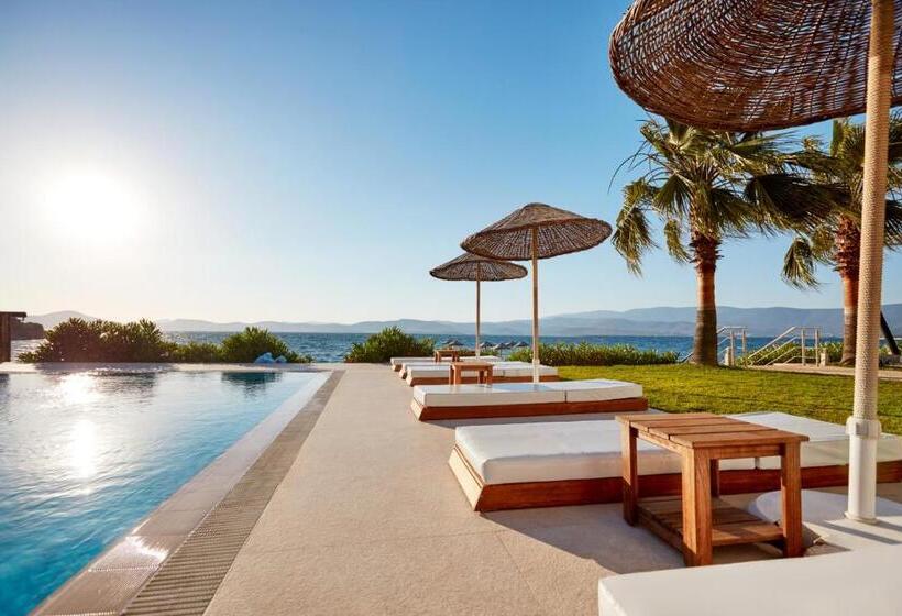 酒店 Medinn Boutique