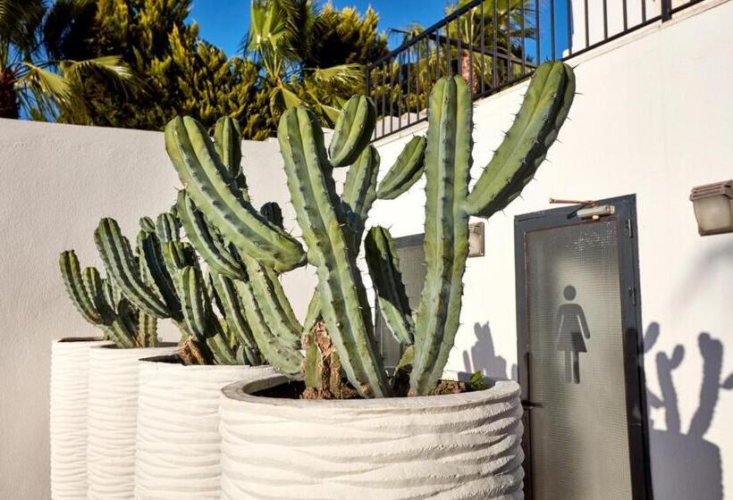 酒店 Medinn Boutique