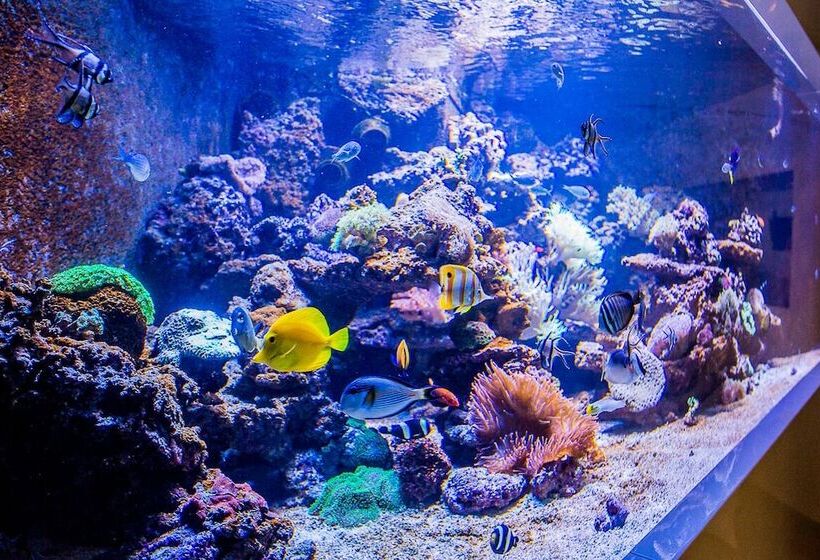 Отель & Medi Spa Biały Kamień