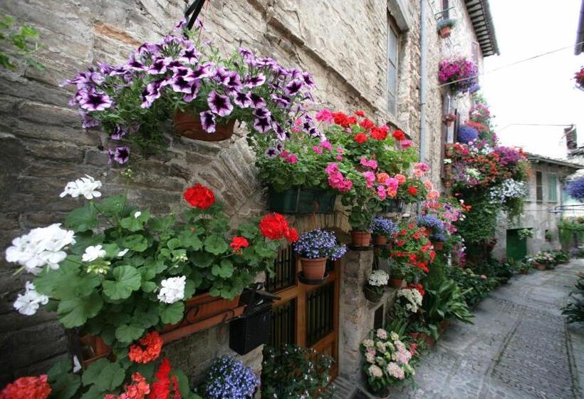 בית מלון כפרי Palazzo Brunamonti