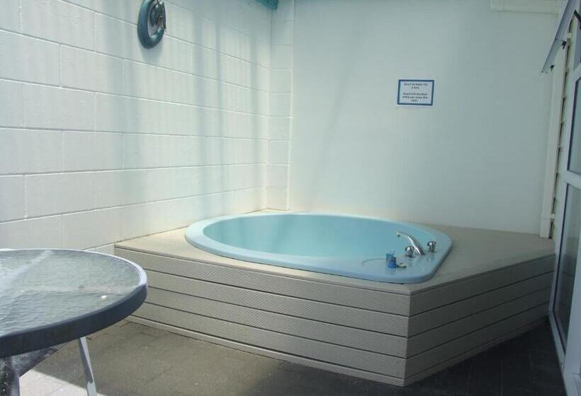 Отель Palm Court Motor Inn