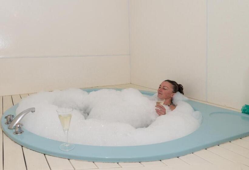 Отель Palm Court Motor Inn