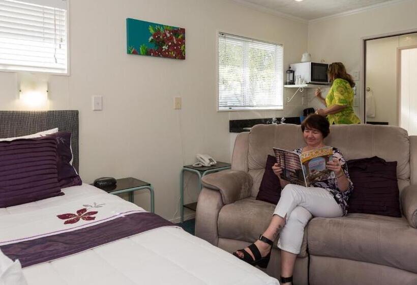 Отель Palm Court Motor Inn