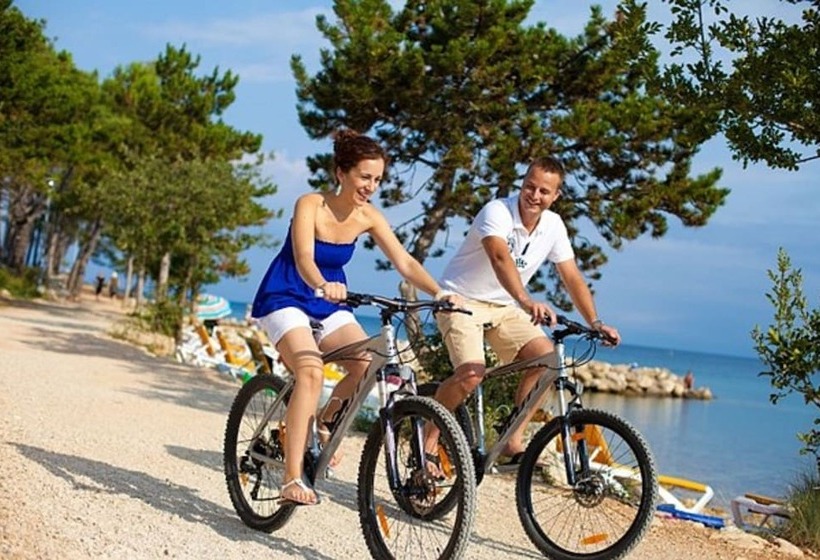 בית מלון כפרי Pansion Zlatna Ribica