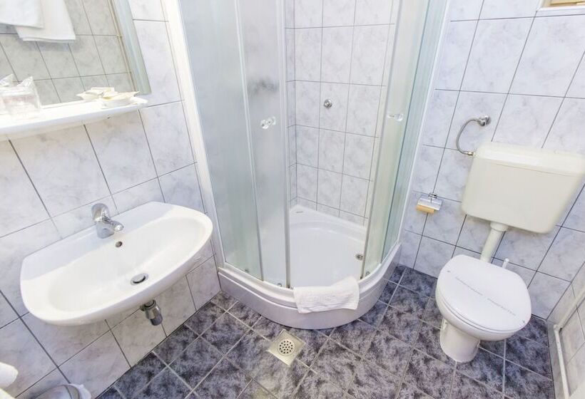 בית מלון כפרי Pansion Zlatna Ribica