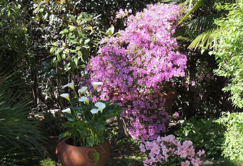 Отель Parma E Oriente