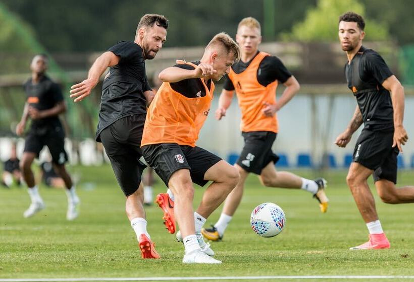 בית מלון כפרי Remes