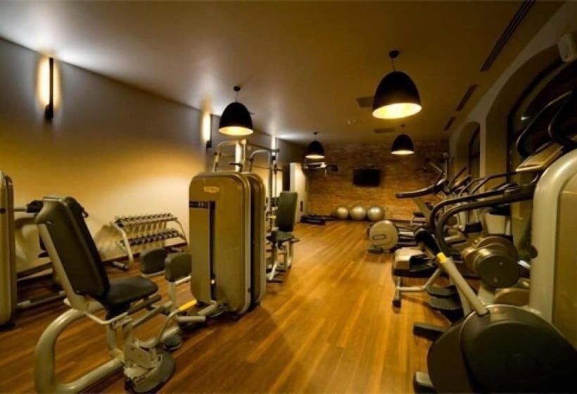 בית מלון כפרי Remes