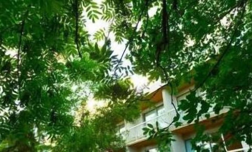 فندق Hôtel Restaurant Pavillon Carina