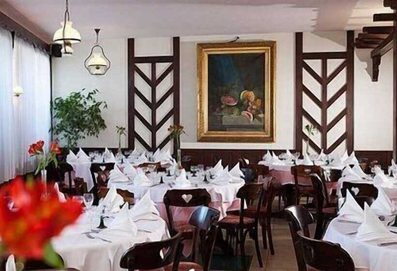 فندق Hôtel Restaurant Pavillon Carina