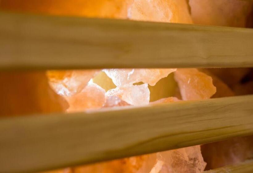 Révész Hotel, Restaurant And Rosa Spa