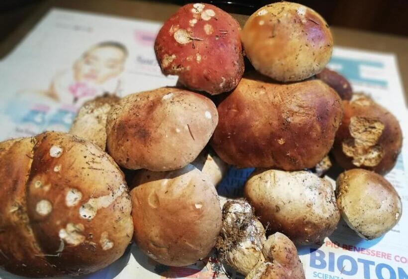 酒店 Ristorante Locanda Milano