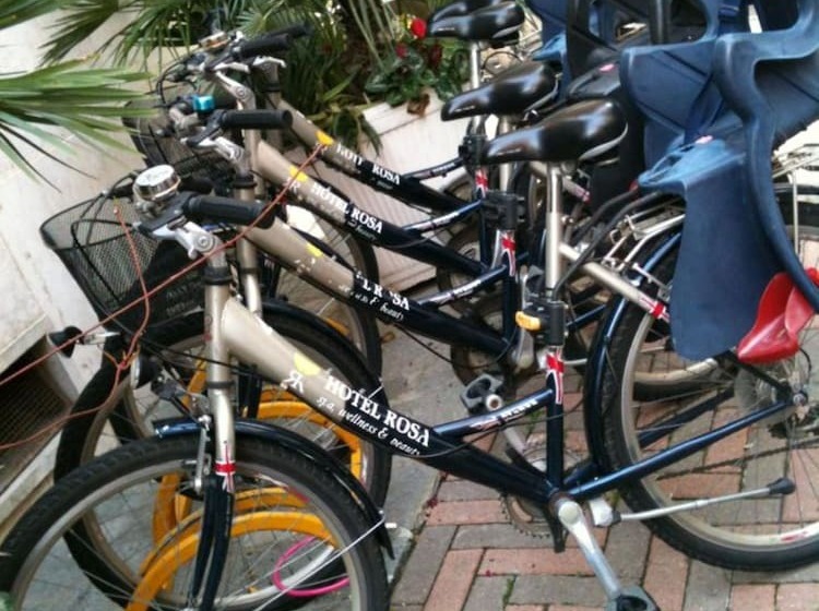 Отель Allegroitalia Alassio Rosa