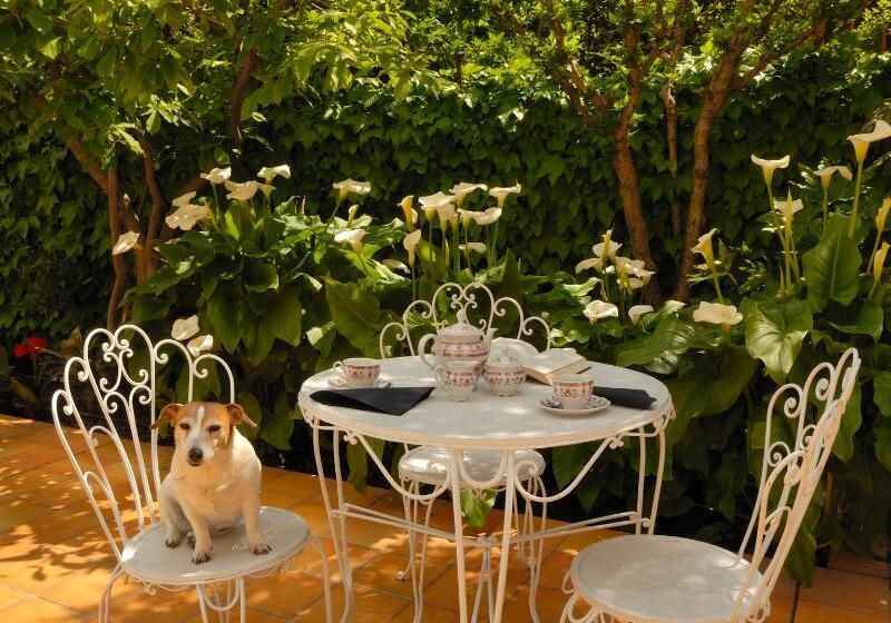 Отель Allegroitalia Alassio Rosa