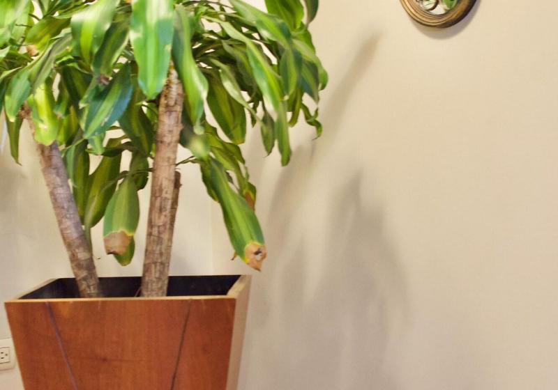 فندق Santa Monica