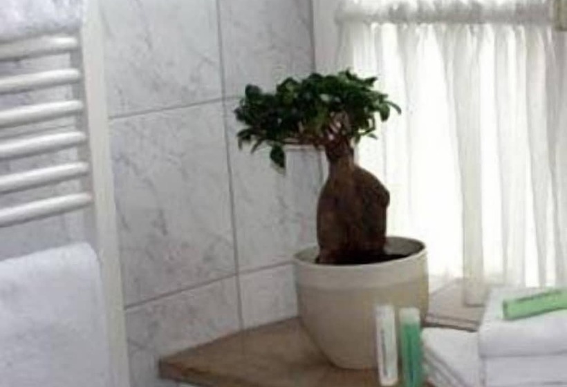 Отель Schwarzacher Hof In Niederbayern