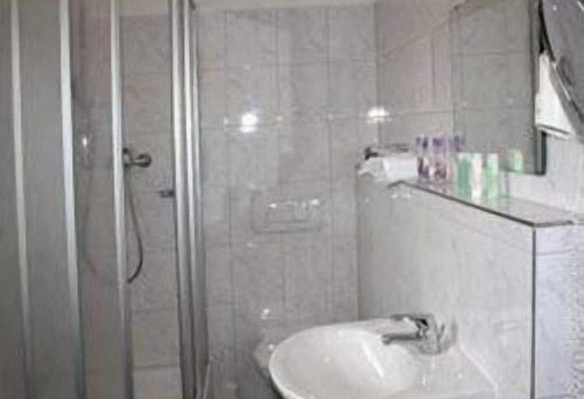 Отель Schwarzacher Hof In Niederbayern