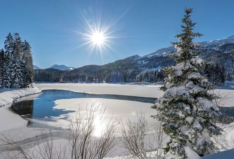 ホテル Schweizerhof