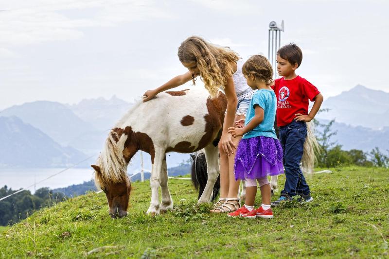 בית מלון כפרי Sonnenberg