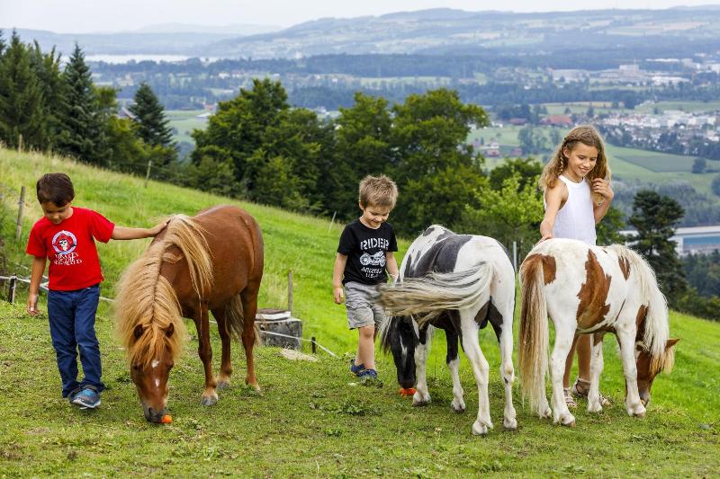 בית מלון כפרי Sonnenberg