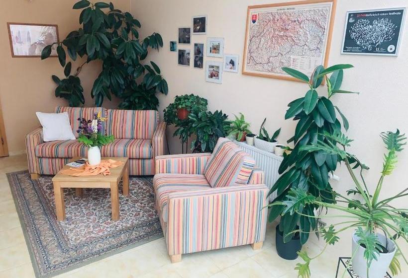 Stevea / Bývalý Hotel Steve