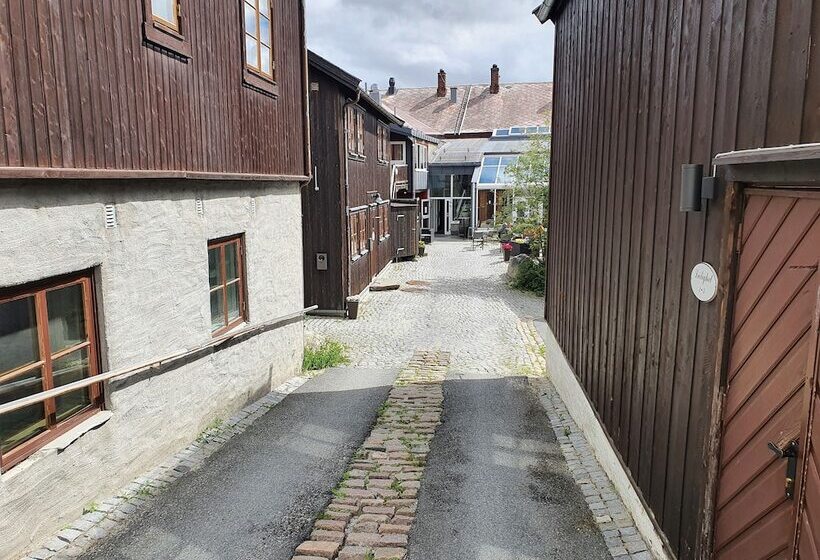 בית מלון כפרי Vertshuset Røros