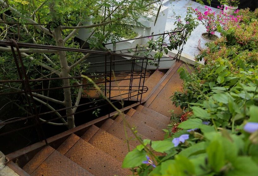 Boutique Casa Rosalía