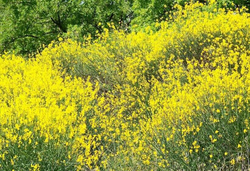 בית מלון כפרי Hôtel De L Etang