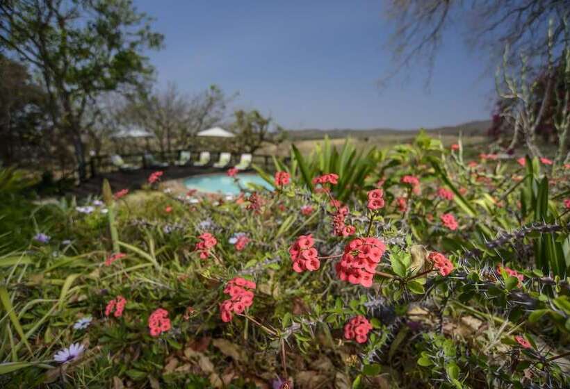 Пансион Abangane Guest Lodge