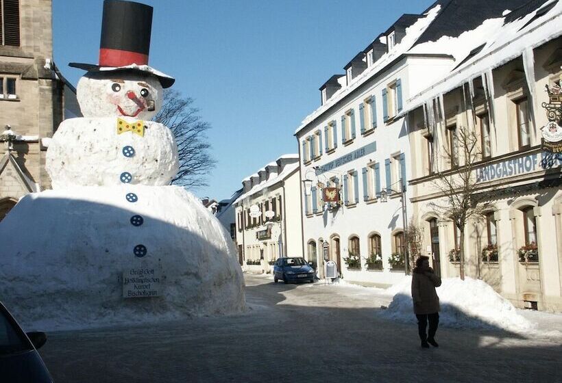 펜션 Gasthof Deutscher Adler Und Hotel Puchtler
