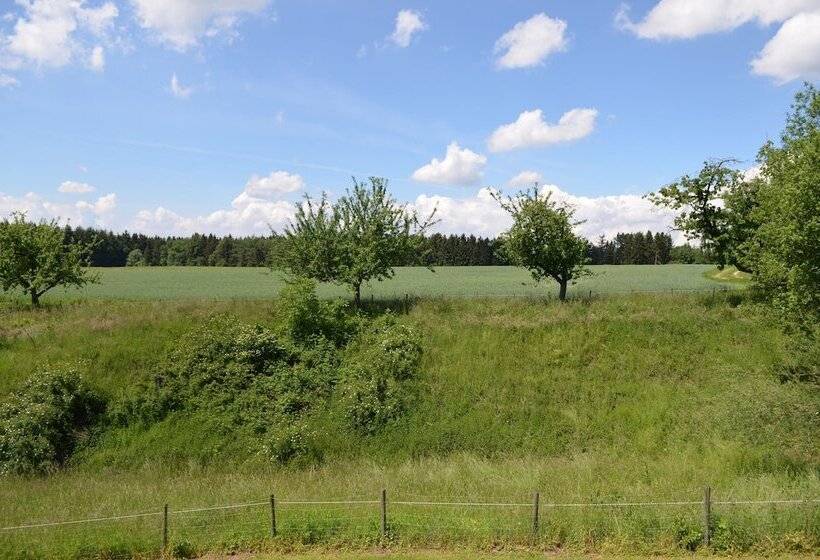 Пансион Klostergasthof Roggenburg