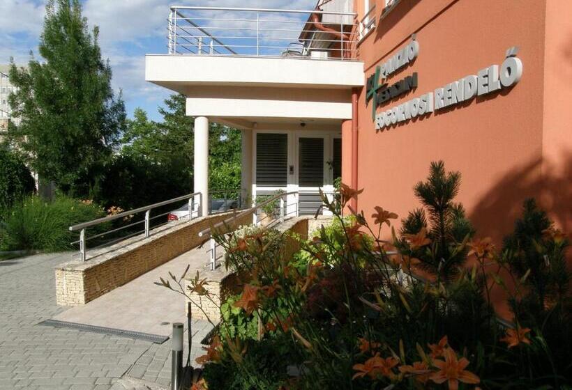 بنسيون Promedicum Panzio