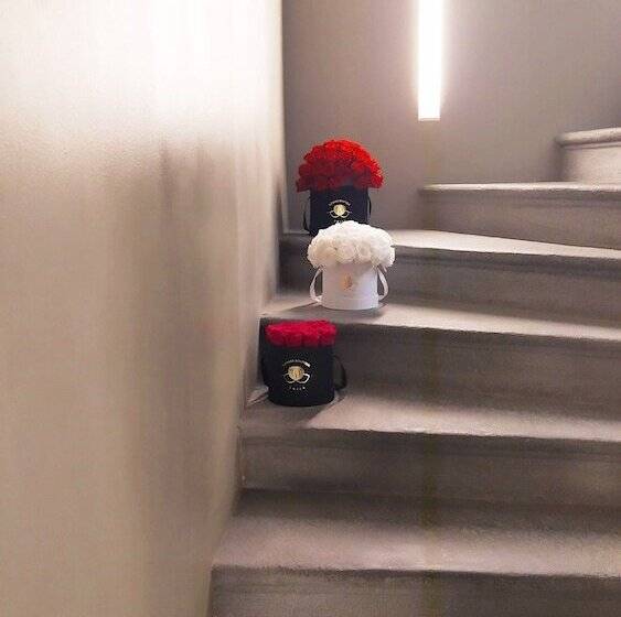 Petronilla Hotel In Bergamo