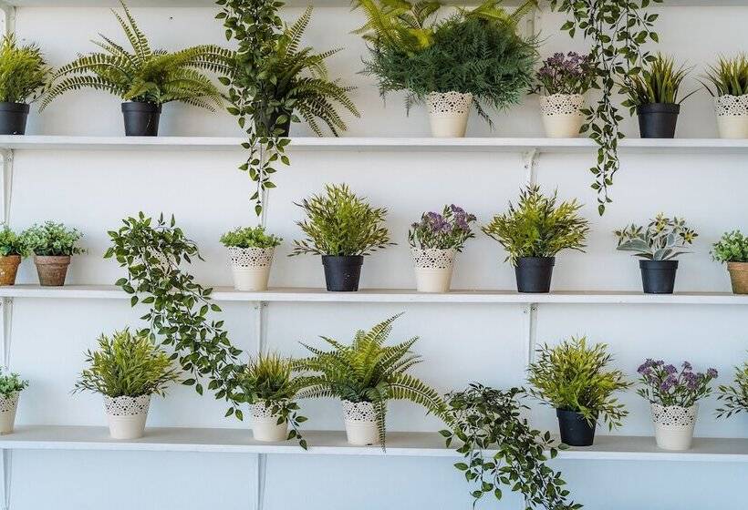 אתר נופש Vrachia Beach Hotel & Suites   Adults Only