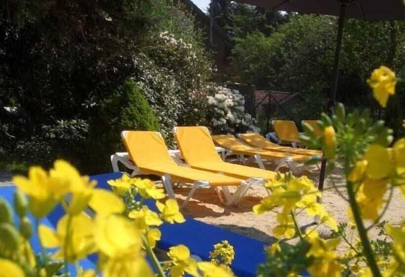 Revital & Wohlfühlhotel Steimker Hof