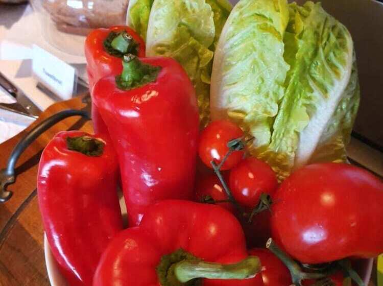 Revital & Wohlfühlhotel Steimker Hof