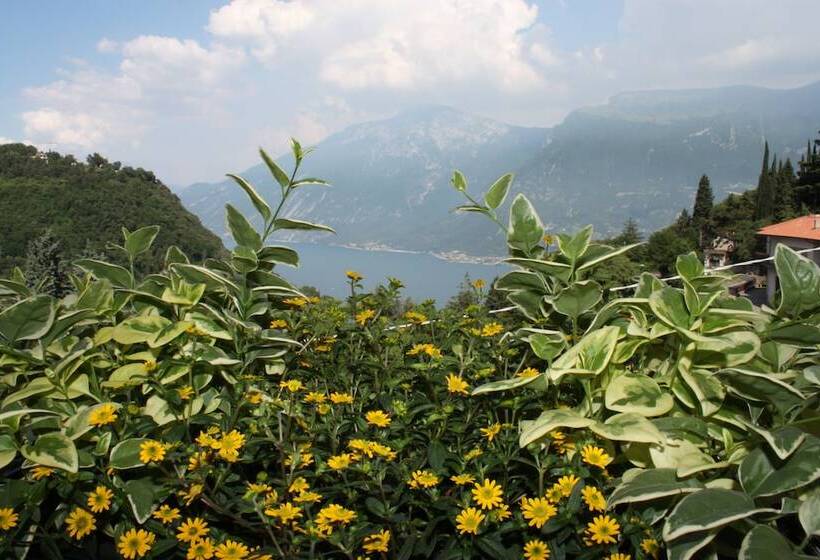 Stella D Oro   Hotel & Apartments