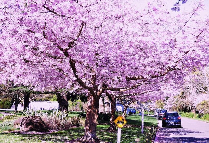 The Esplanade Motel & Conference Centre