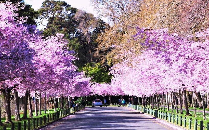The Esplanade Motel & Conference Centre