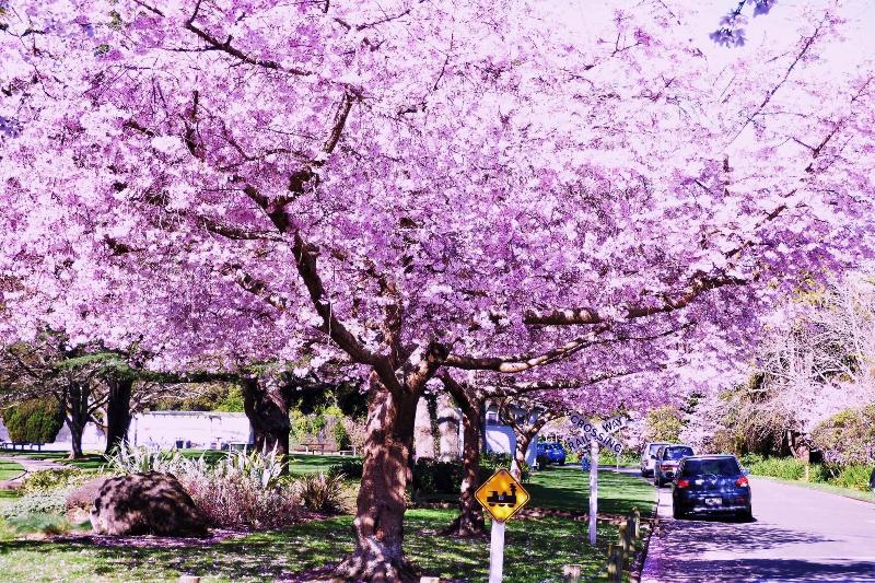 The Esplanade Motel & Conference Centre