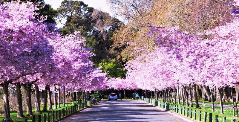 The Esplanade Motel & Conference Centre