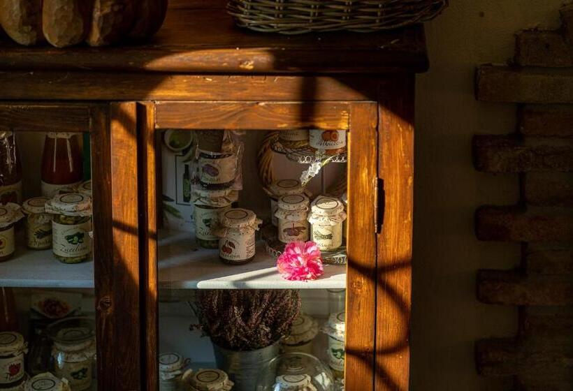 Agriturismo Cà Nuova