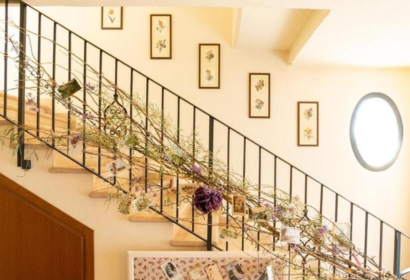 Agriturismo Cà Nuova