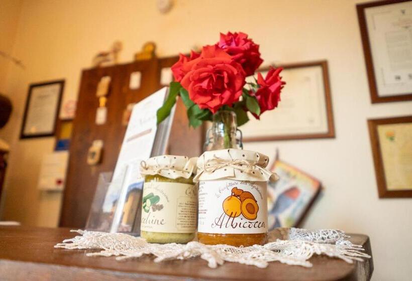 Agriturismo Cà Nuova