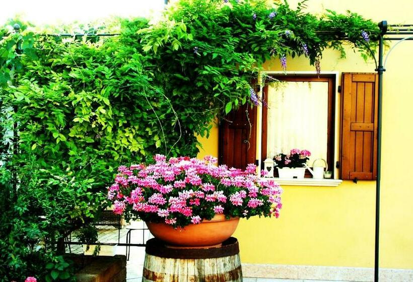 Agriturismo Cà Nuova